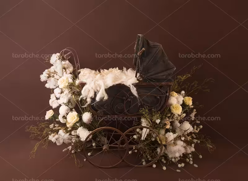 بک دراپ عکاسی کالسکه با گل های سفید و پر | گرافیک با طعم تربچه