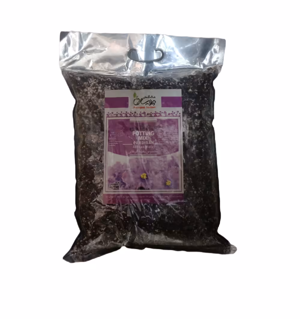 خاک بنفشه آفریقایی پردیسان/بافت سبک و عاری از آفات/قیمت+خرید