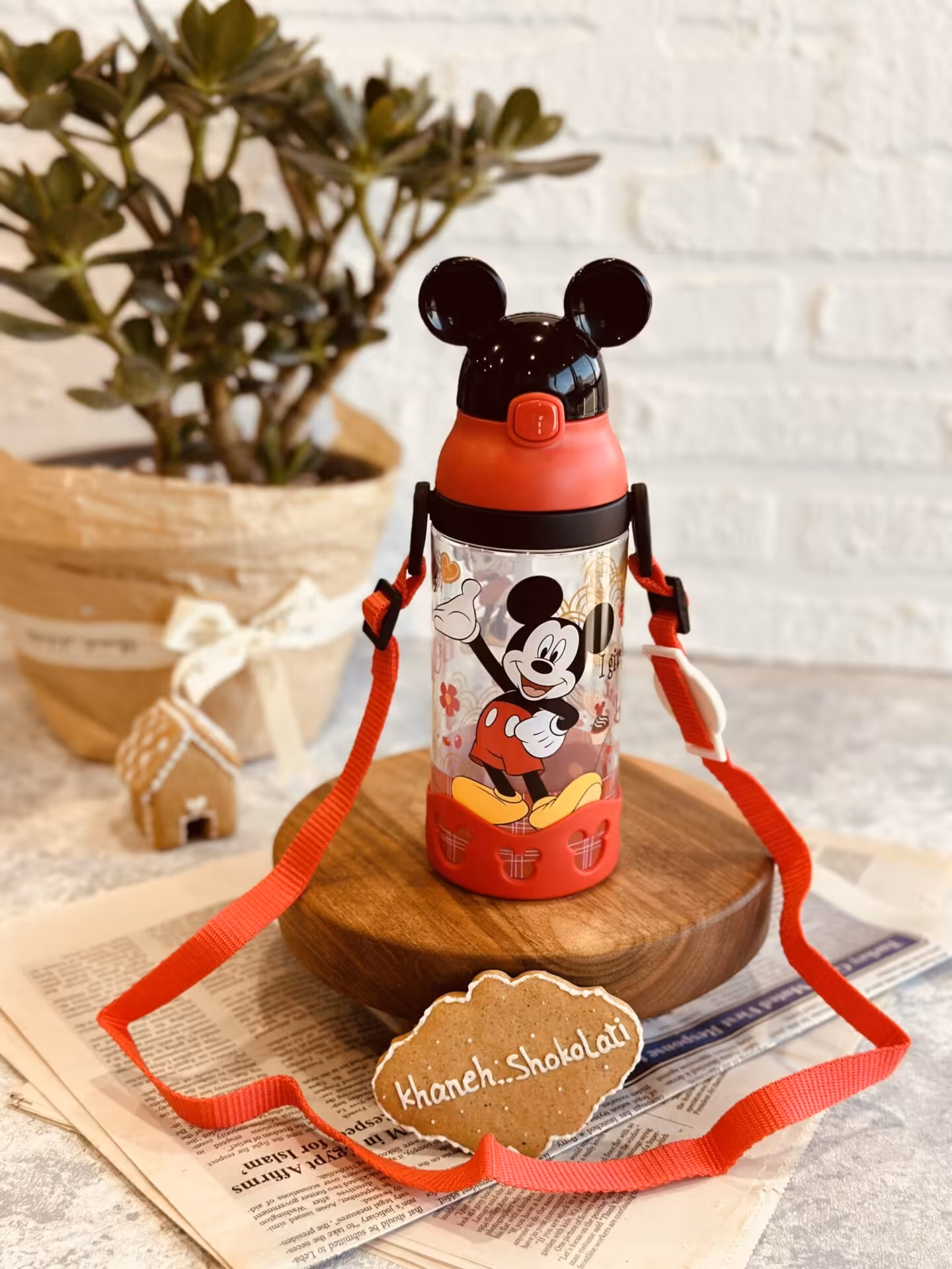 قمقمه میکی دیزنی کد00287