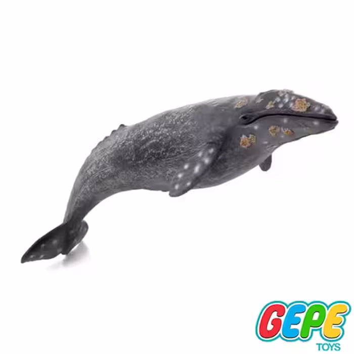 فیگور نهنگ خاکستری