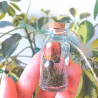 گیفت عروسی طرح گل و چمن (کار بصورت سفارشی)