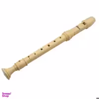 فلوت ریکوردر آیرسی مدل NA01