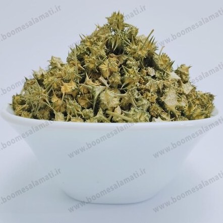 خارخسک ( Land Caltrops ) ( Tribulus Terrestris ) 1000 گرم