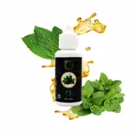 روغن ضد جوش و لک و تیرگی نعنا راگا 30 میلی