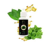 روغن ضد جوش و لک و تیرگی نعنا راگا 30 میلی