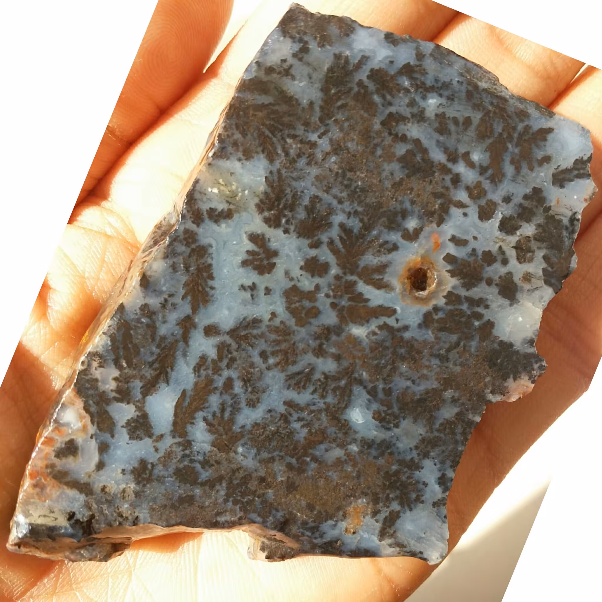 اسلایس سنگ راف شجر مشکی بی نظییییییییر خاص 100 در 100 طبیعی محشر شاهکار خلقت