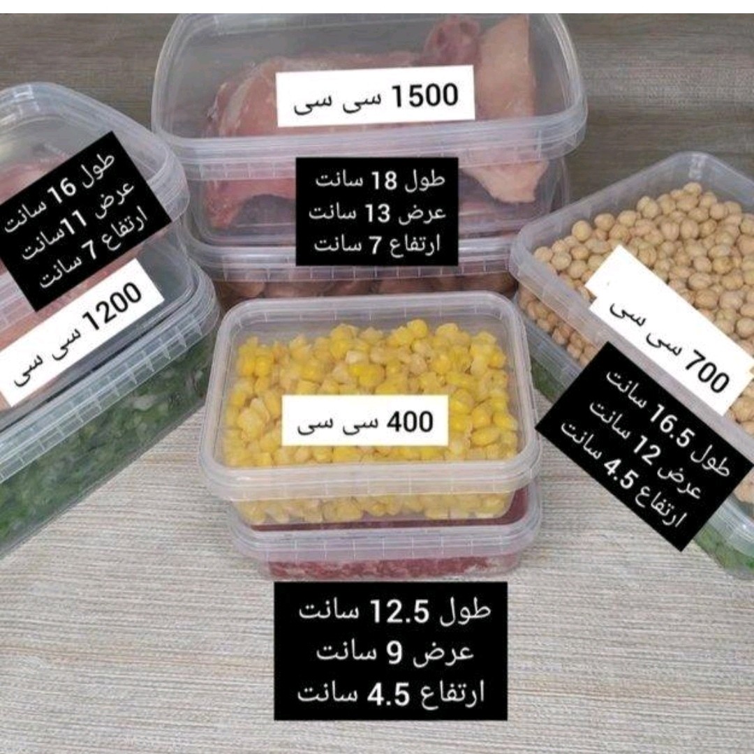 ظرف فریزری 1200سی سی