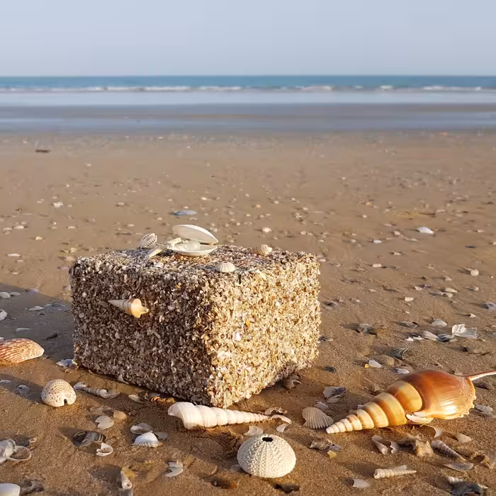 صندوقچه جواهرات صدفی بزرگ2