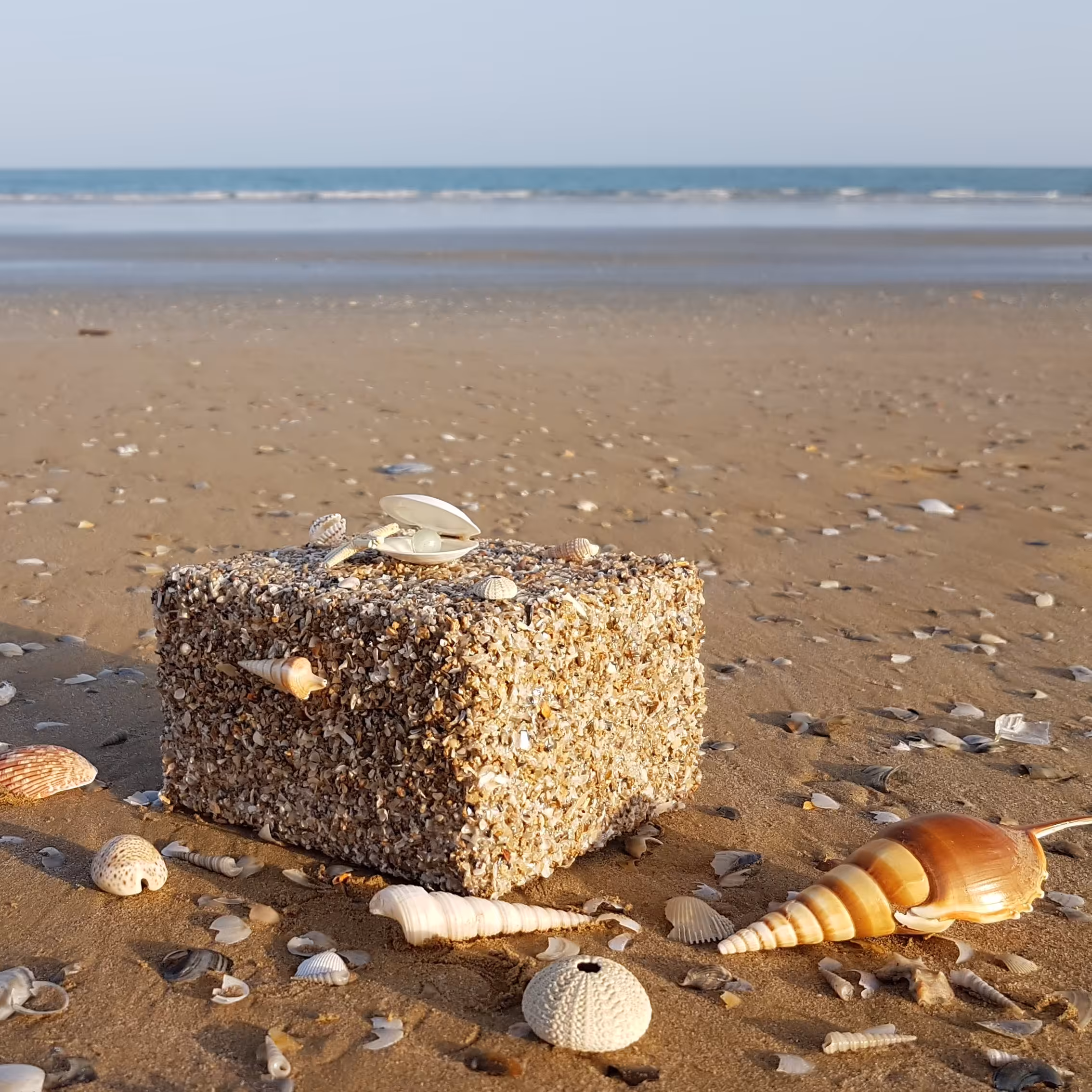 صندوقچه جواهرات صدفی بزرگ2