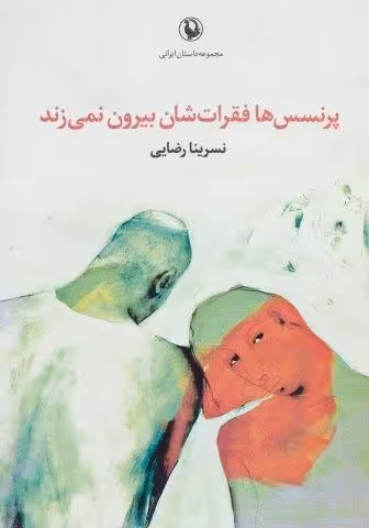 پرنسس ها فقرات شان بیرون نمی زند (مجموعه داستان ایرانی)