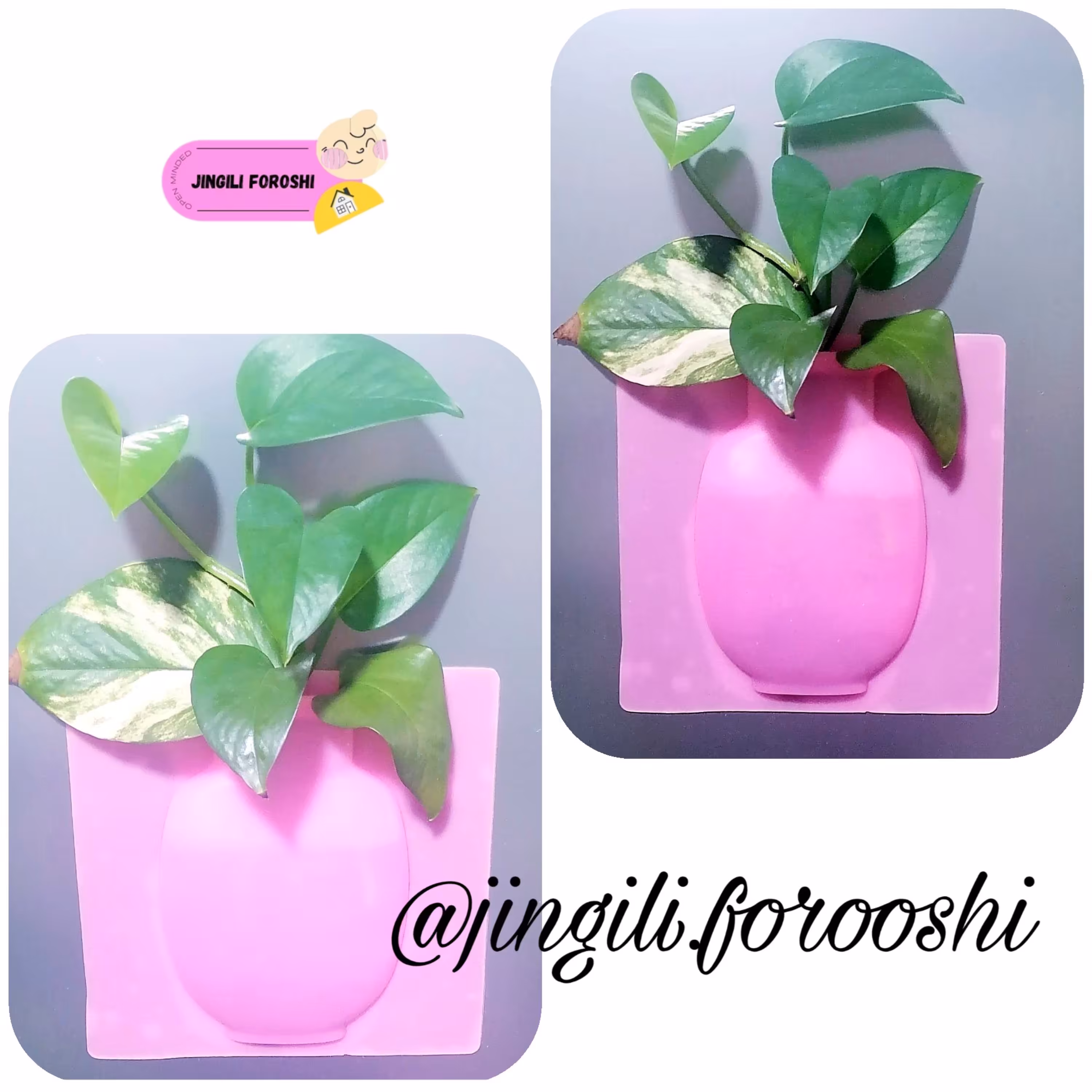 گلدان سیلیکونی