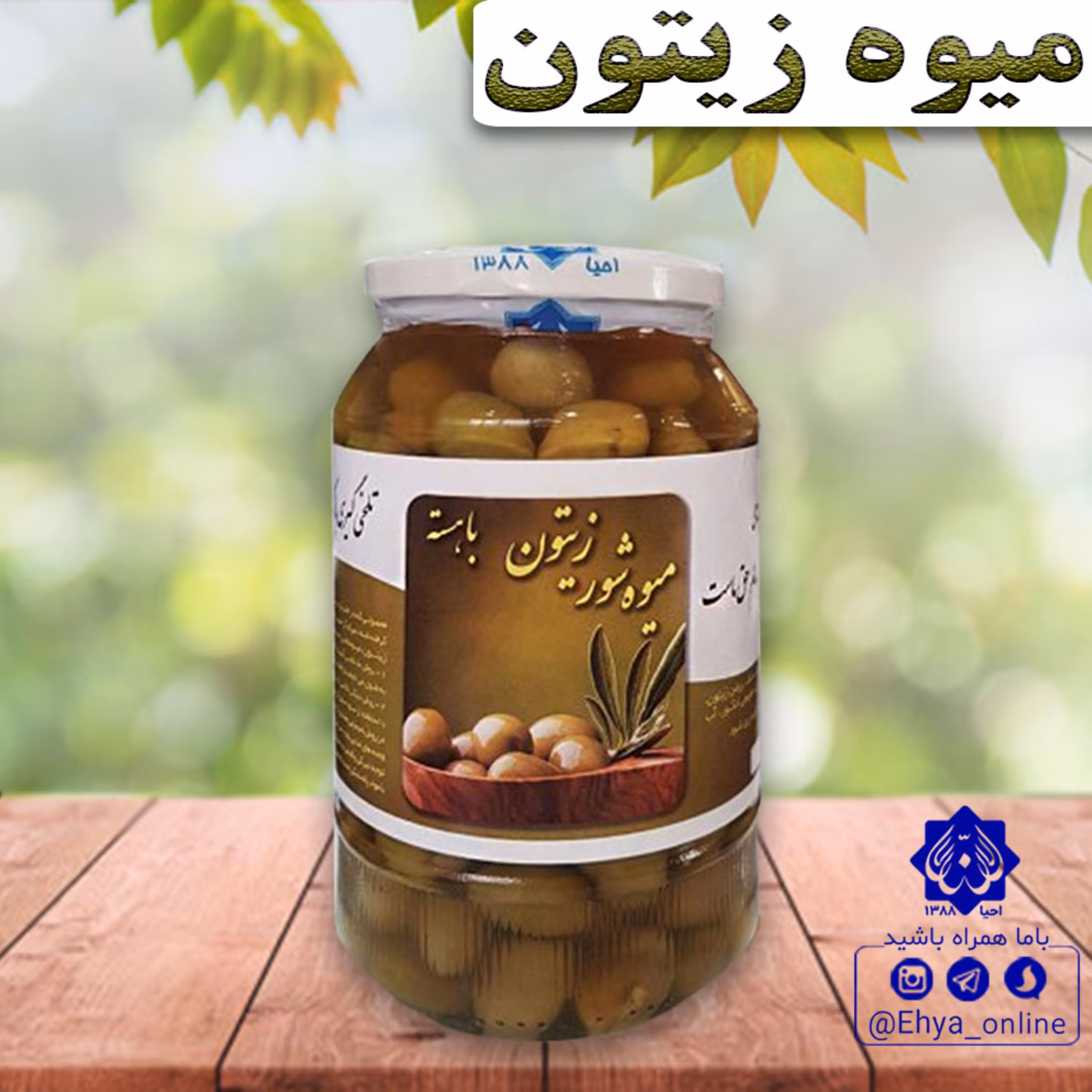 میوه زیتون شور روازاده ارگانیک احیای سلامت