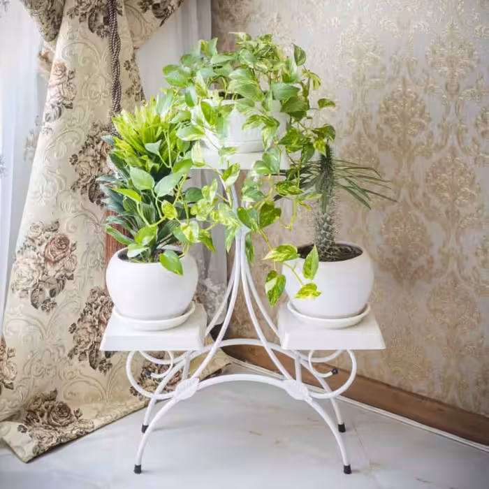 استند ایفل 3تایی