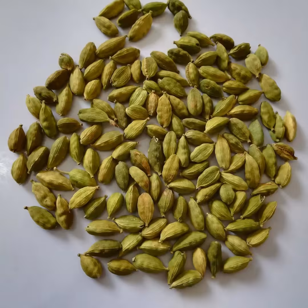 هل اکبر بنفش