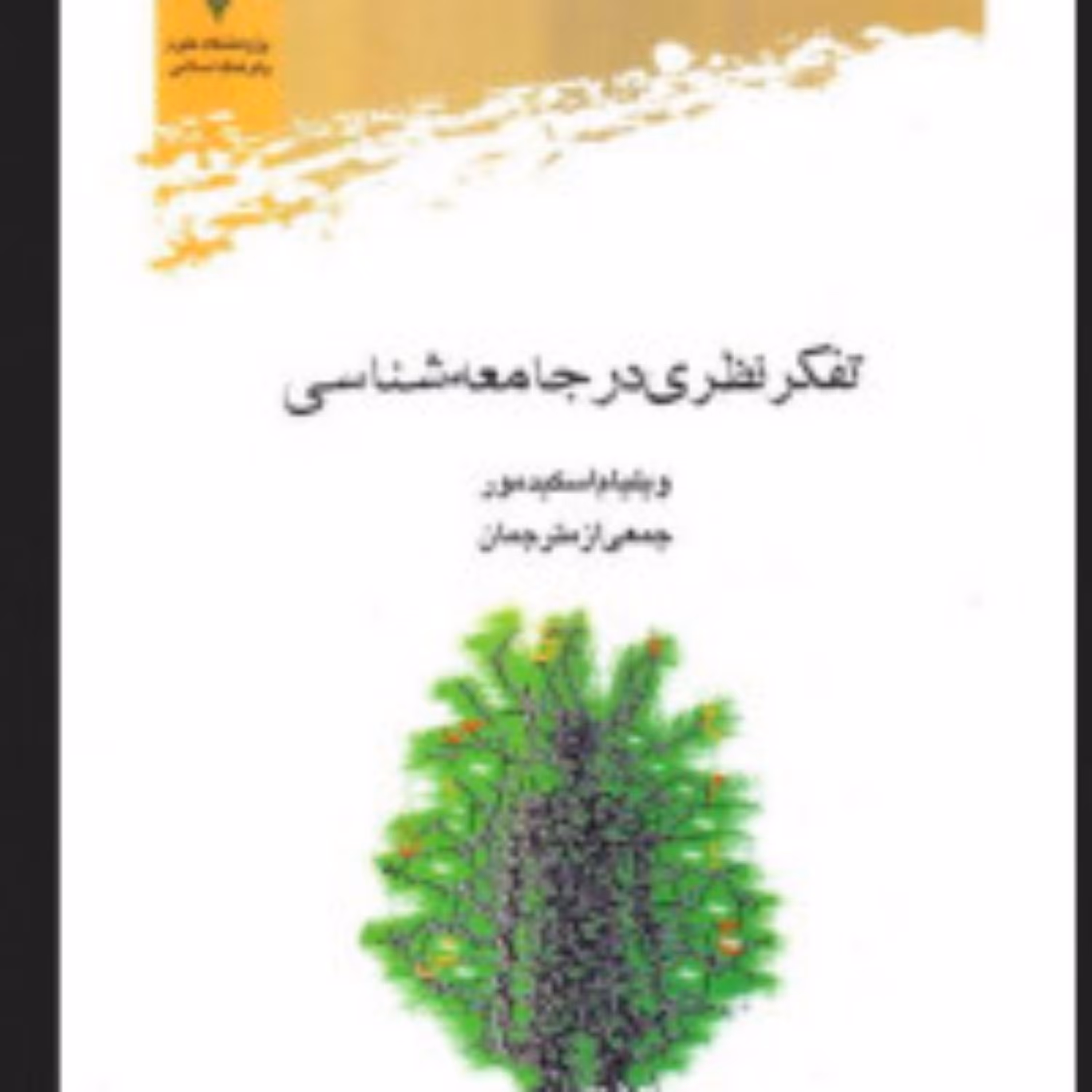 کتاب تفکر نظری در جامعه شناسی ویلیام اسکیدمور