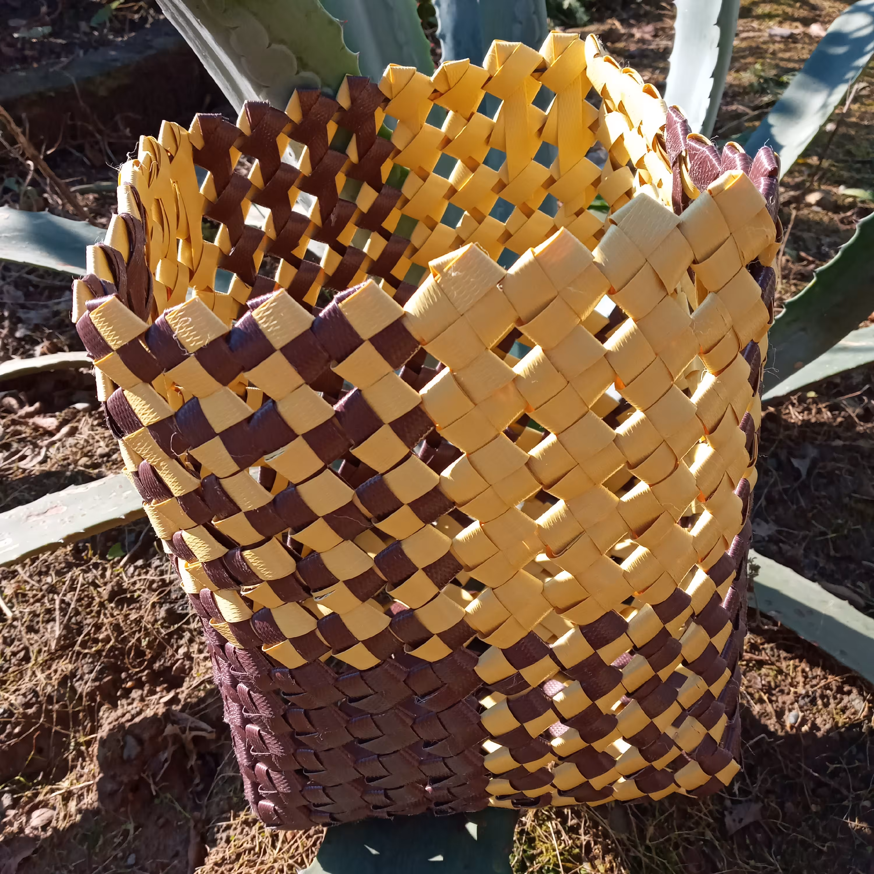 جا جورابی (پس کرایه)