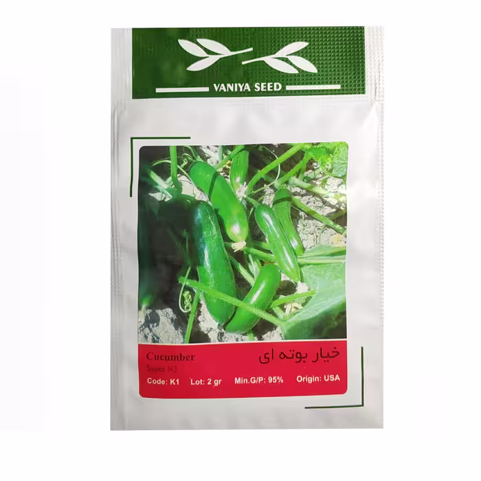 بذر خیار بوته ای