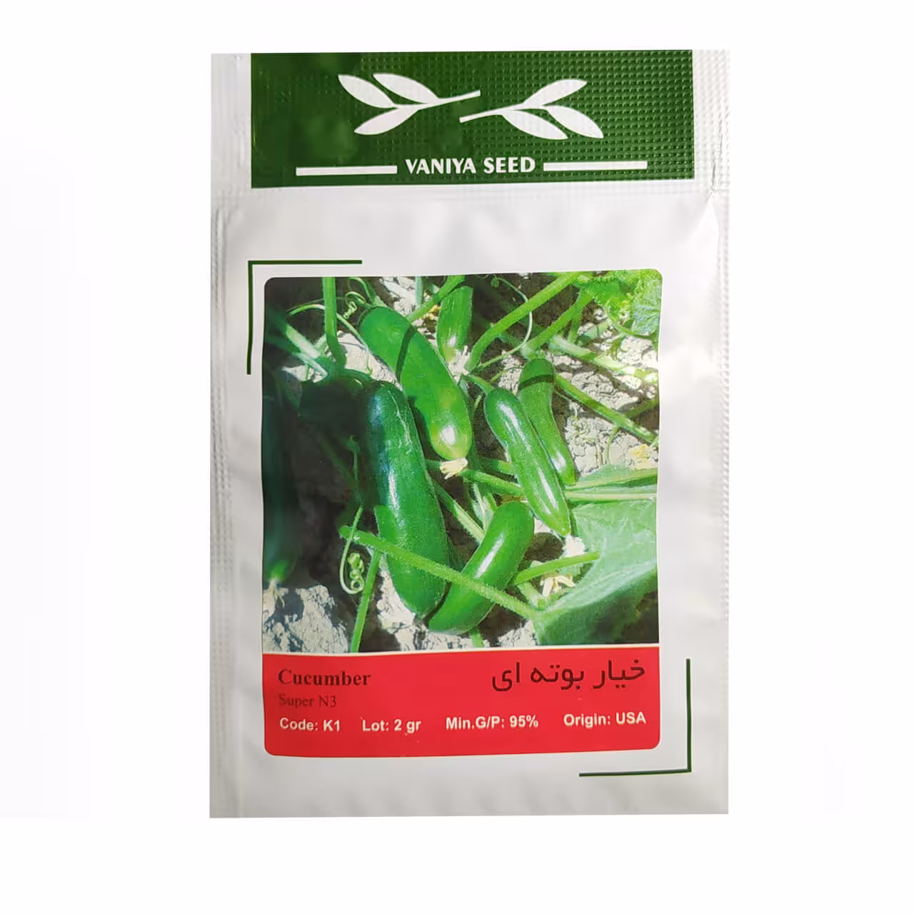 بذر خیار بوته ای