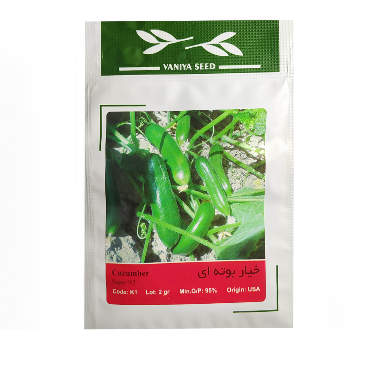 بذر خیار بوته ای