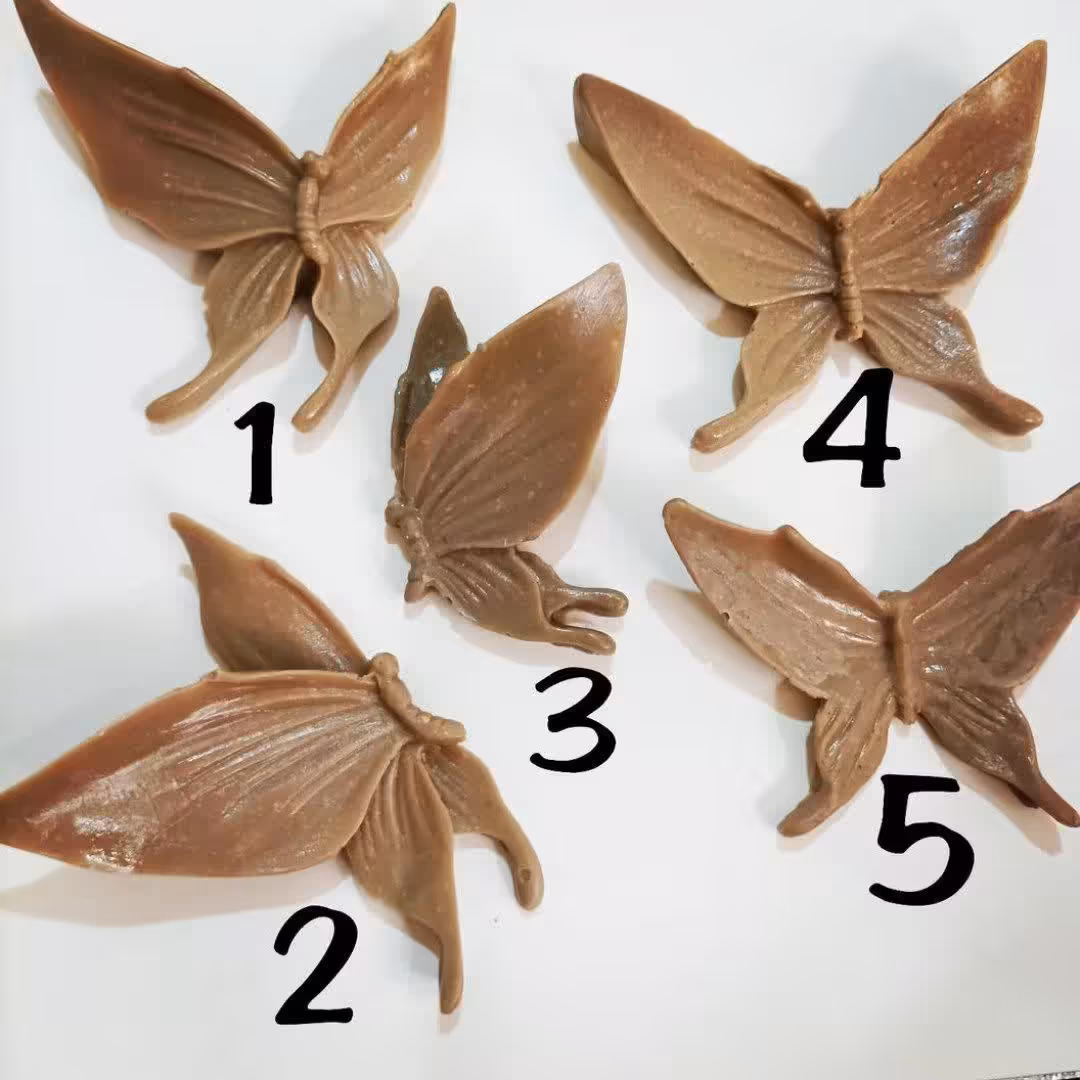 پروانه پلی استر 