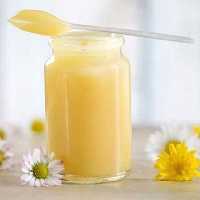 ژل رویال 10 گرمی ایلیا