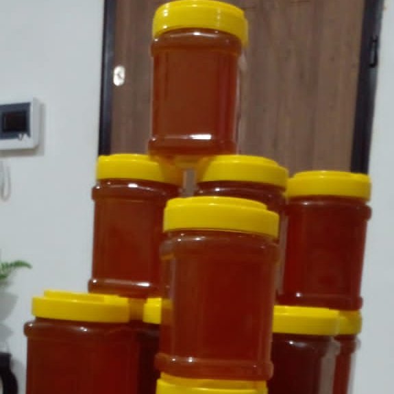 عسل طبیعی از دل طبیعت