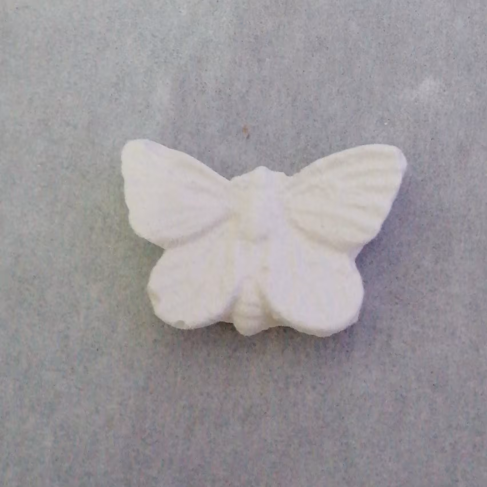 پروانه گچی سایز کوچک