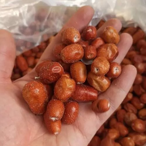 سنجد امساله و تازه درجه یک درشت و گوشتی(500گرم)