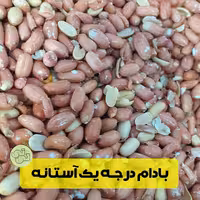 بادام زمینی درجه یک استانه اشرفیه