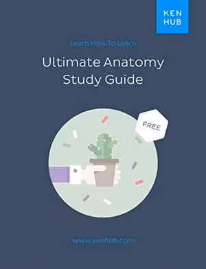 [PDF] دانلود کتاب Ultimate Anatomy Study Guide - Learn How To Learn, 2017