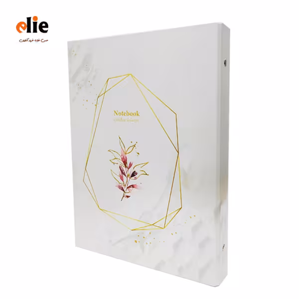 دفتر کلاسوری 100 برگ پاپکو جلد سخت طرح 61806