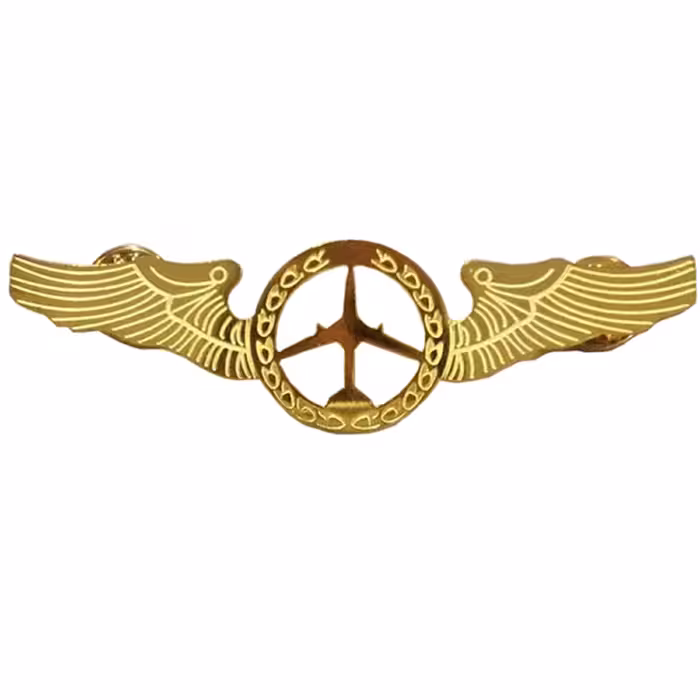 وینگ عمومی خلبانی طلایی آبکاری شده