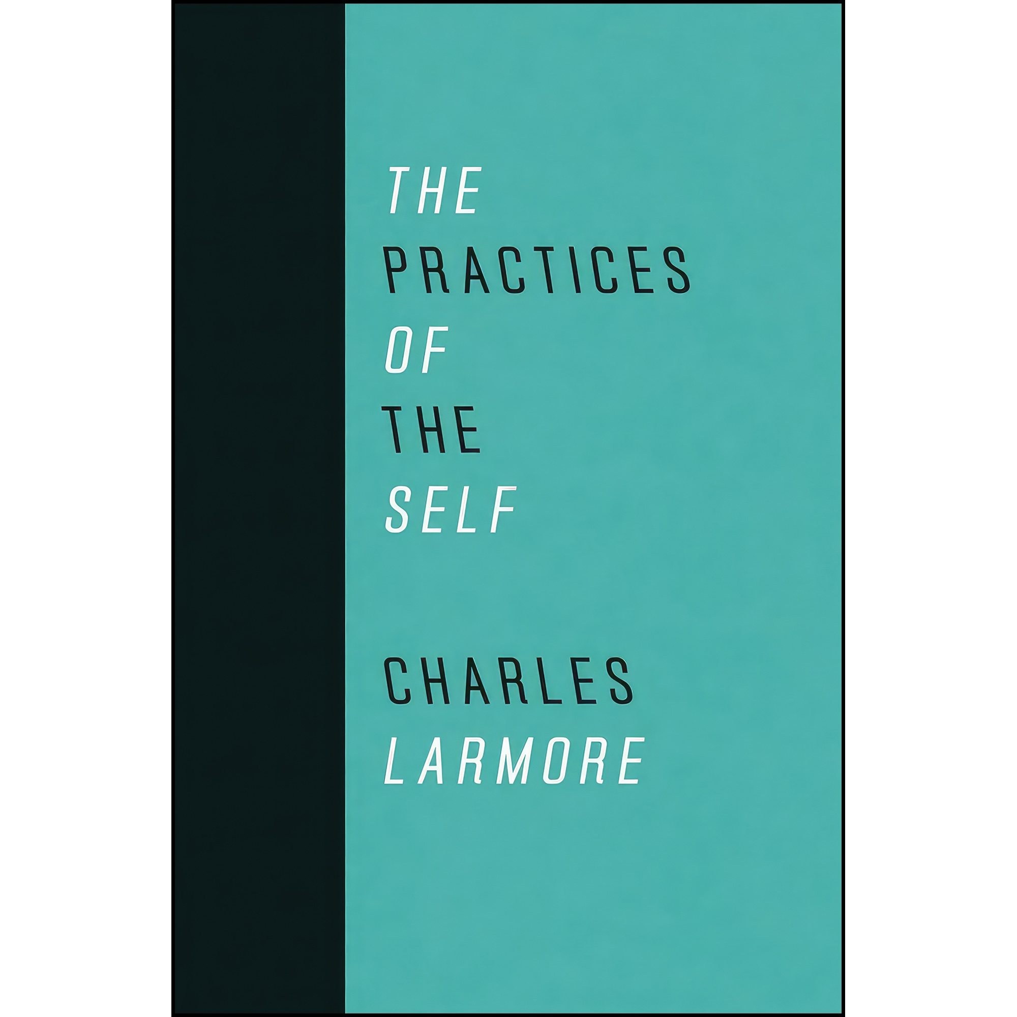 کتاب زبان اصلی The Practices of the Self اثر Charles Larmore and Sharon Bowman