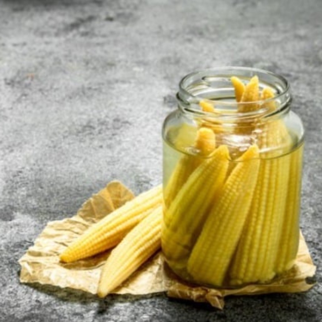 بچه بلال بی بی کورن مینی بلال بچه ذرت Baby corn