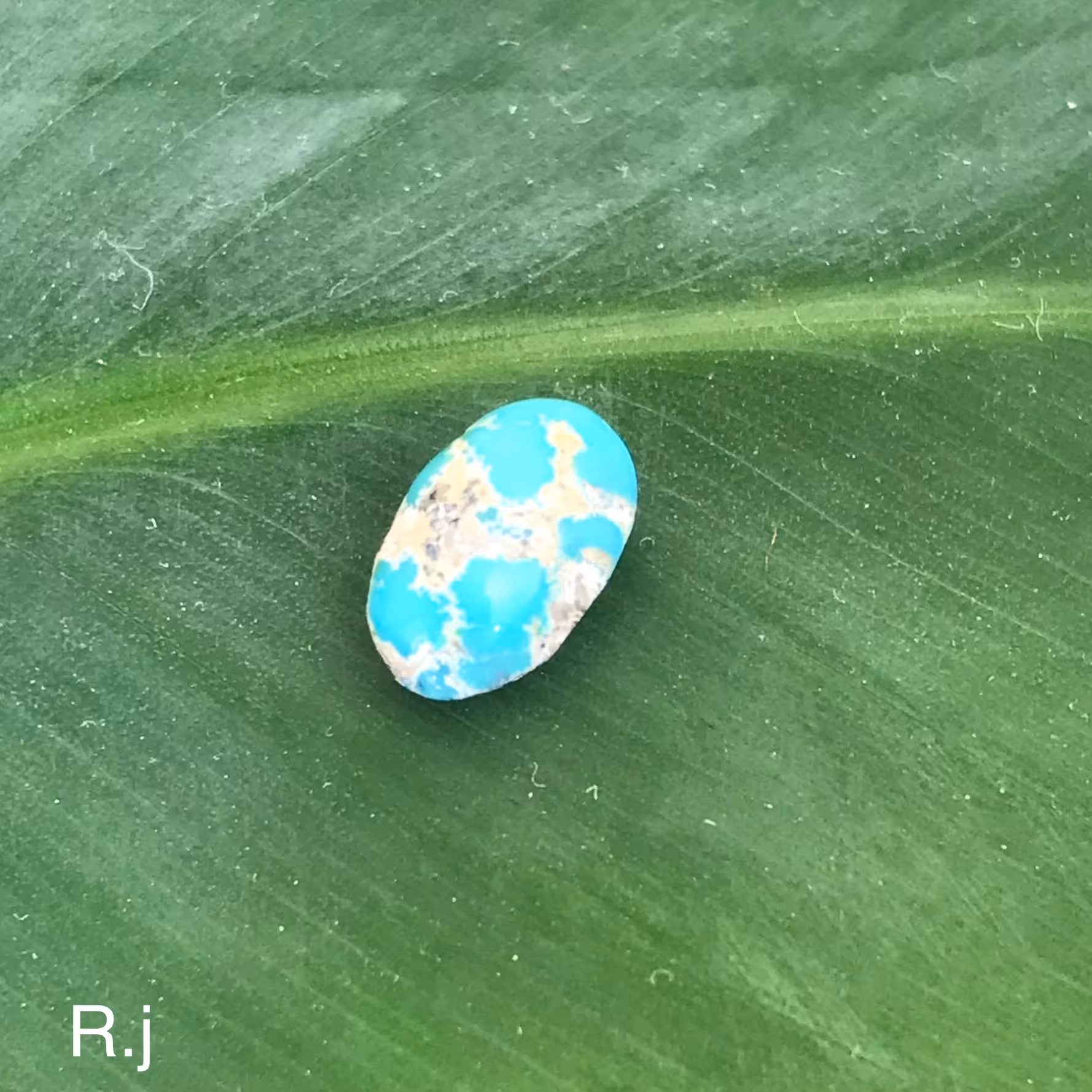 نگین فیروزه نیشابوری ظریف مناسب کارهای ظریف مخصوصا زیور آلات زنانه.