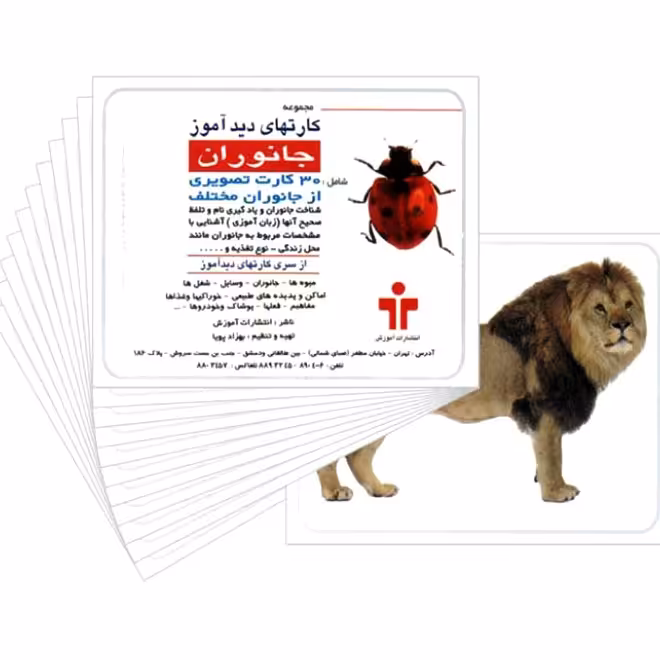 کارت دید آموز بزرگ جانوران 6 عددی