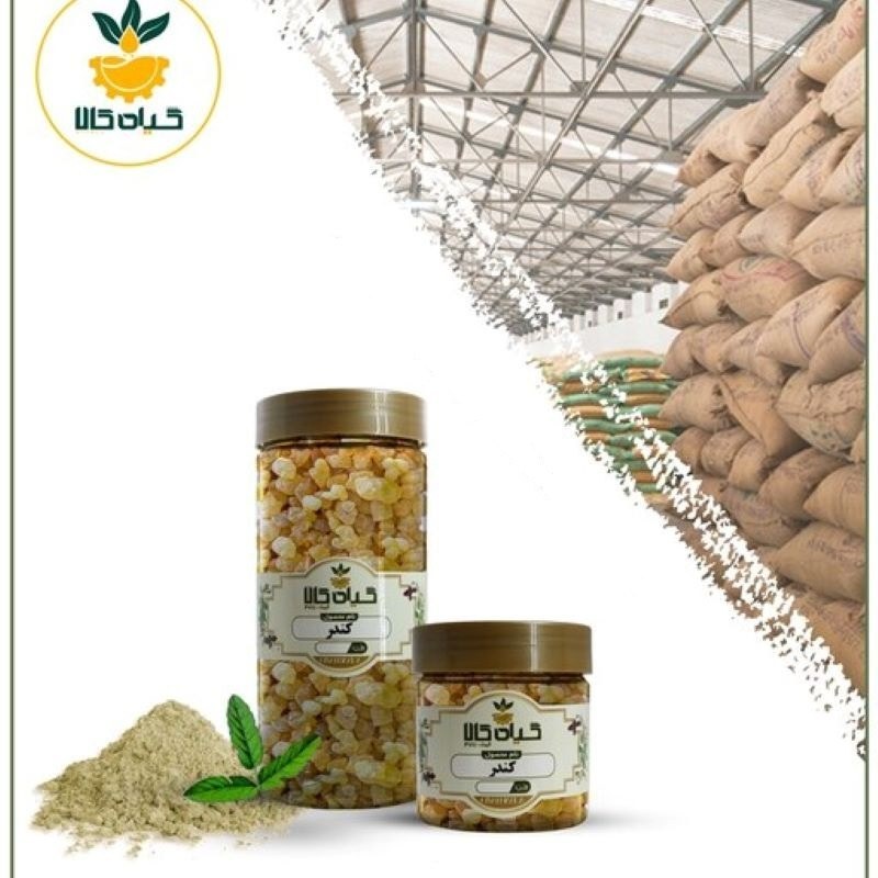 صمغ کندر با کیفیت عالی، بار امسالی و تازه(200گرمی)