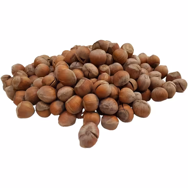 فندق با پوست خام - آجیل و خشکبار ماهتیسا