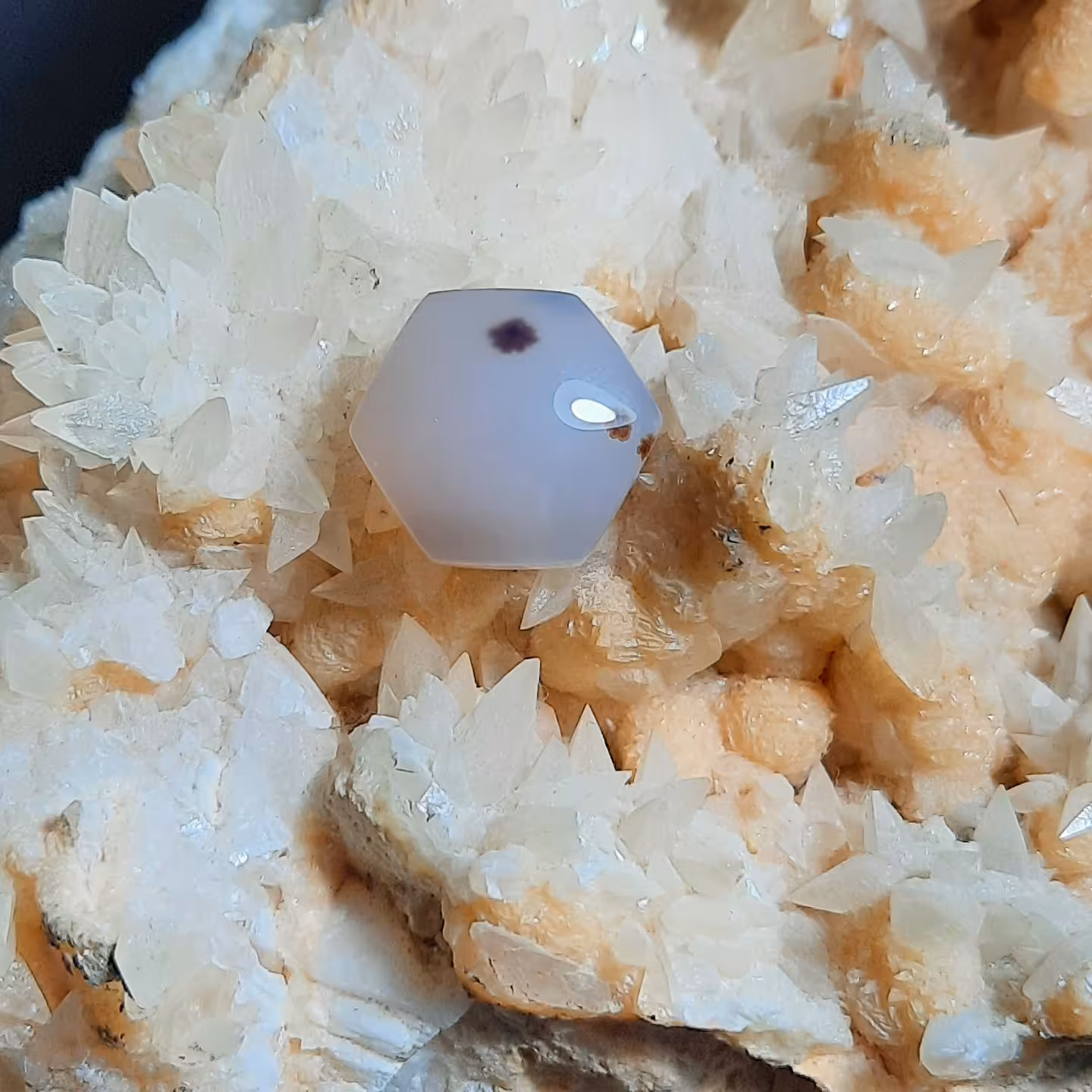 عقیق شجر دار 