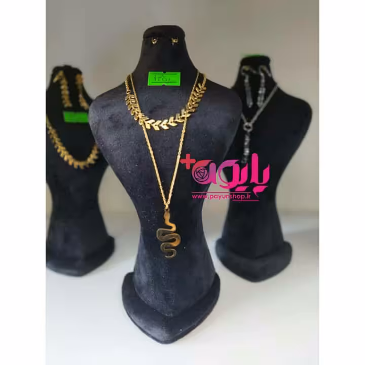 زنجیر و پلاک دو ردیفه طرح برگ و مار