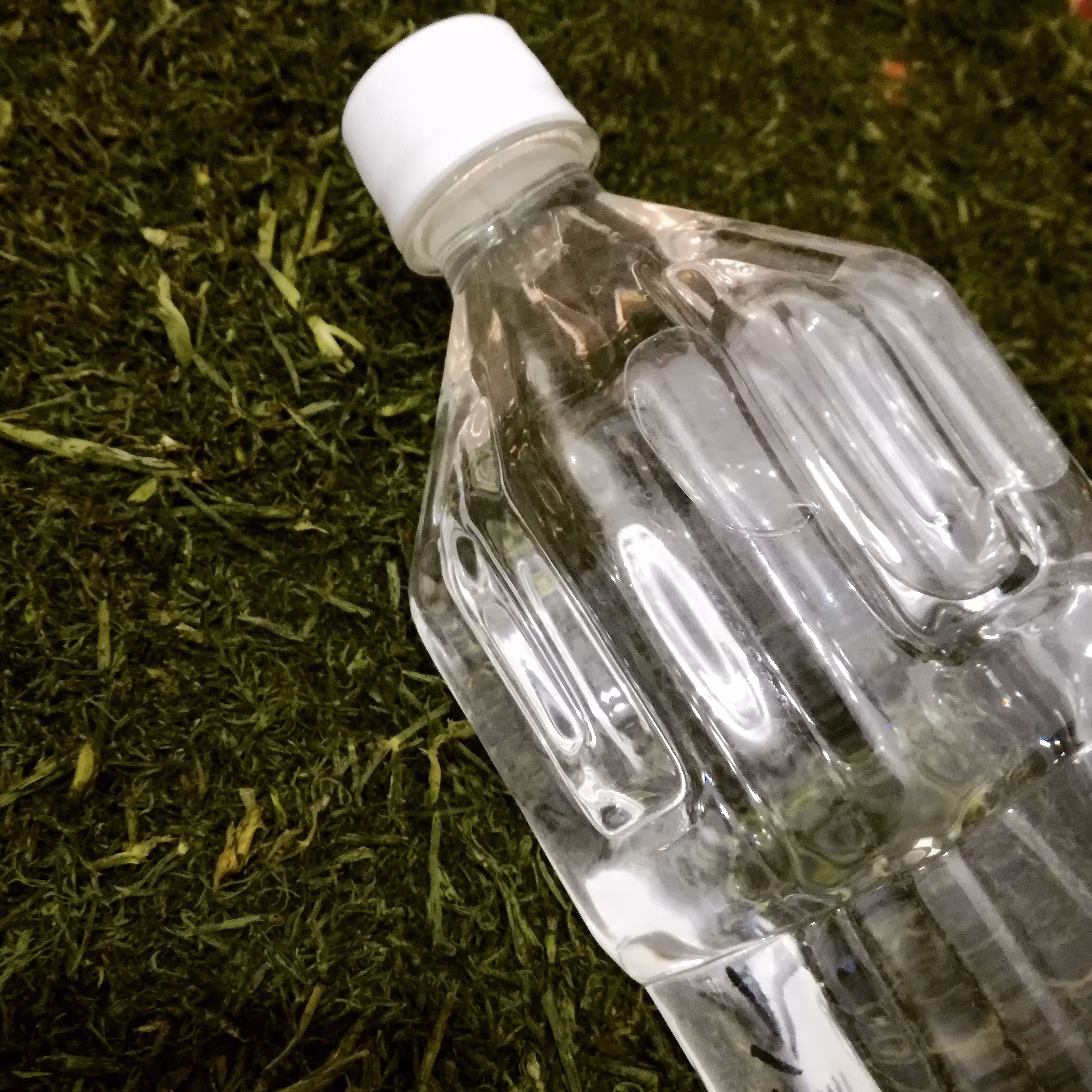 عرق شوید سنتی داراب به شرط اصلی بودن