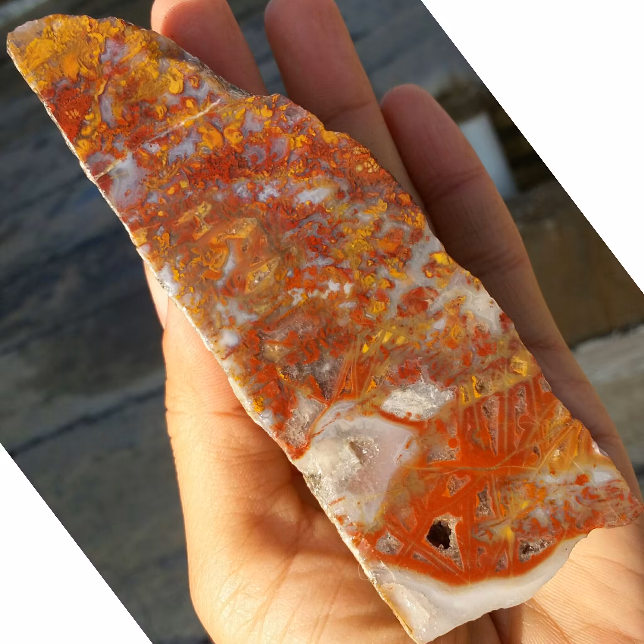 اسلایس سنگ راف درشت عقیق رتایلی منظره 7رنگ شاهکار خلقت کاملا طبیعی
با قابلیت ساخت چندین نگین دیدنی و محشر
 کد 8123