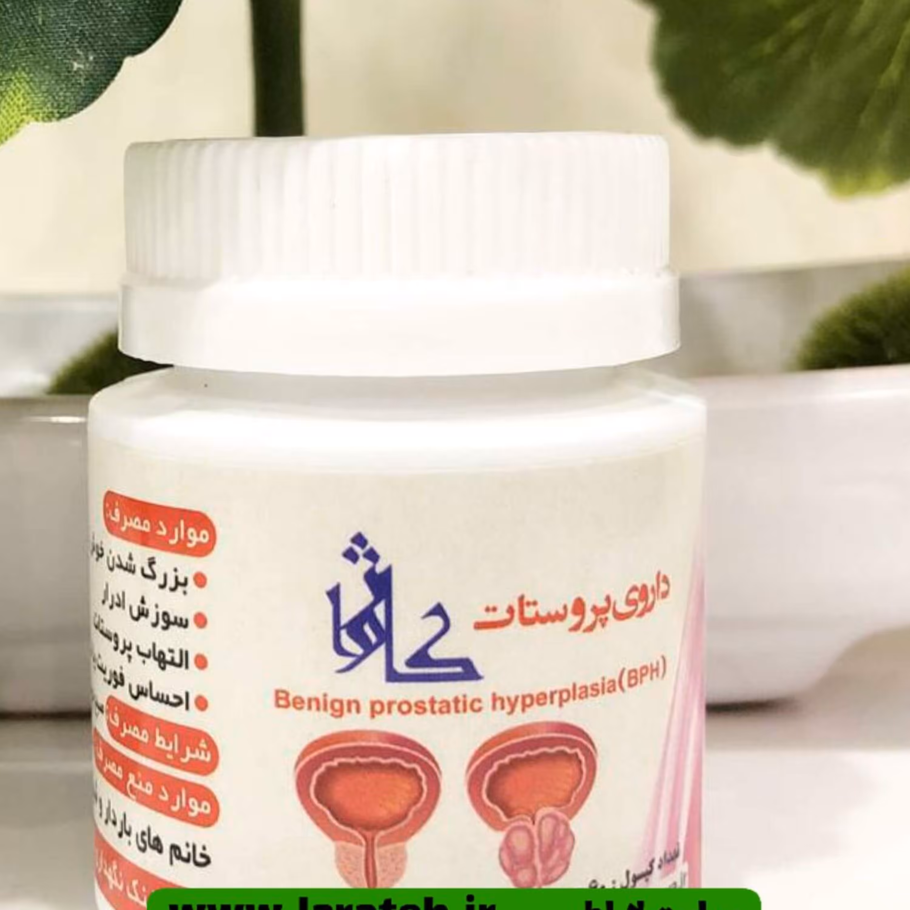  پروستات کاژوا