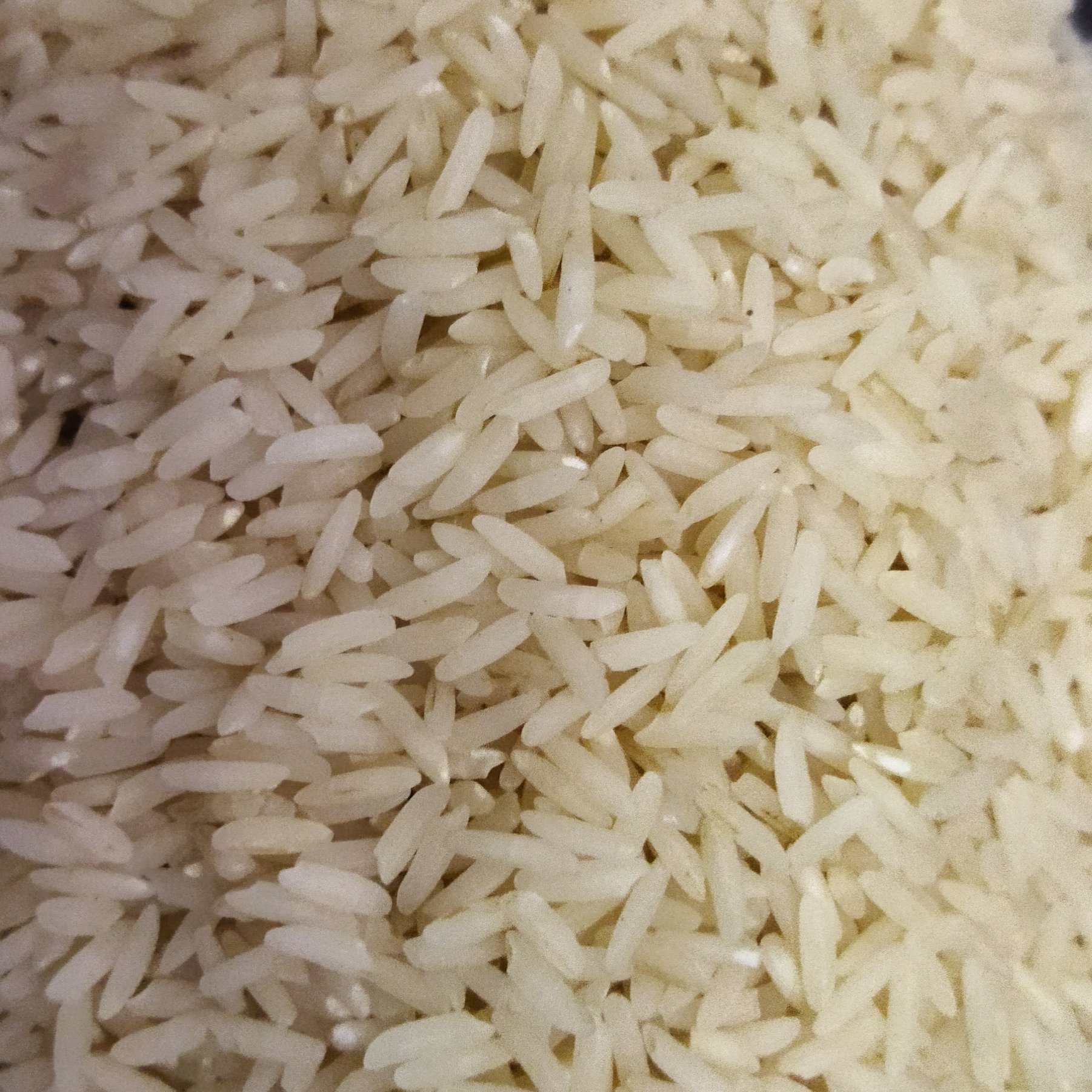 برنج طارم هاشمی فریدونکنار کشت اول(5 کیلویی)