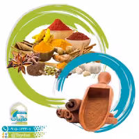 پودر دارچین(100گرمی)