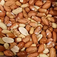 بادام زمینی درشت درجه یک 