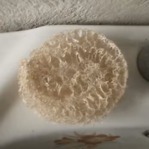 زیر صابونی لوفا 