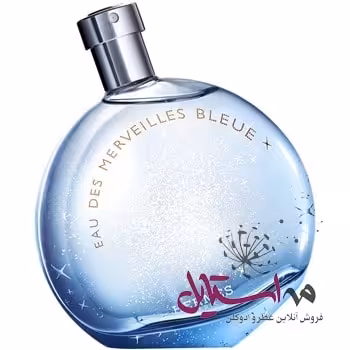 ادو تویلت زنانه HERMES Eau des Merveilles Bleue حجم 100 میلی لیتر
