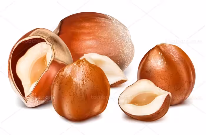 وکتور فندق با کیفیت | گرافیک با طعم تربچه