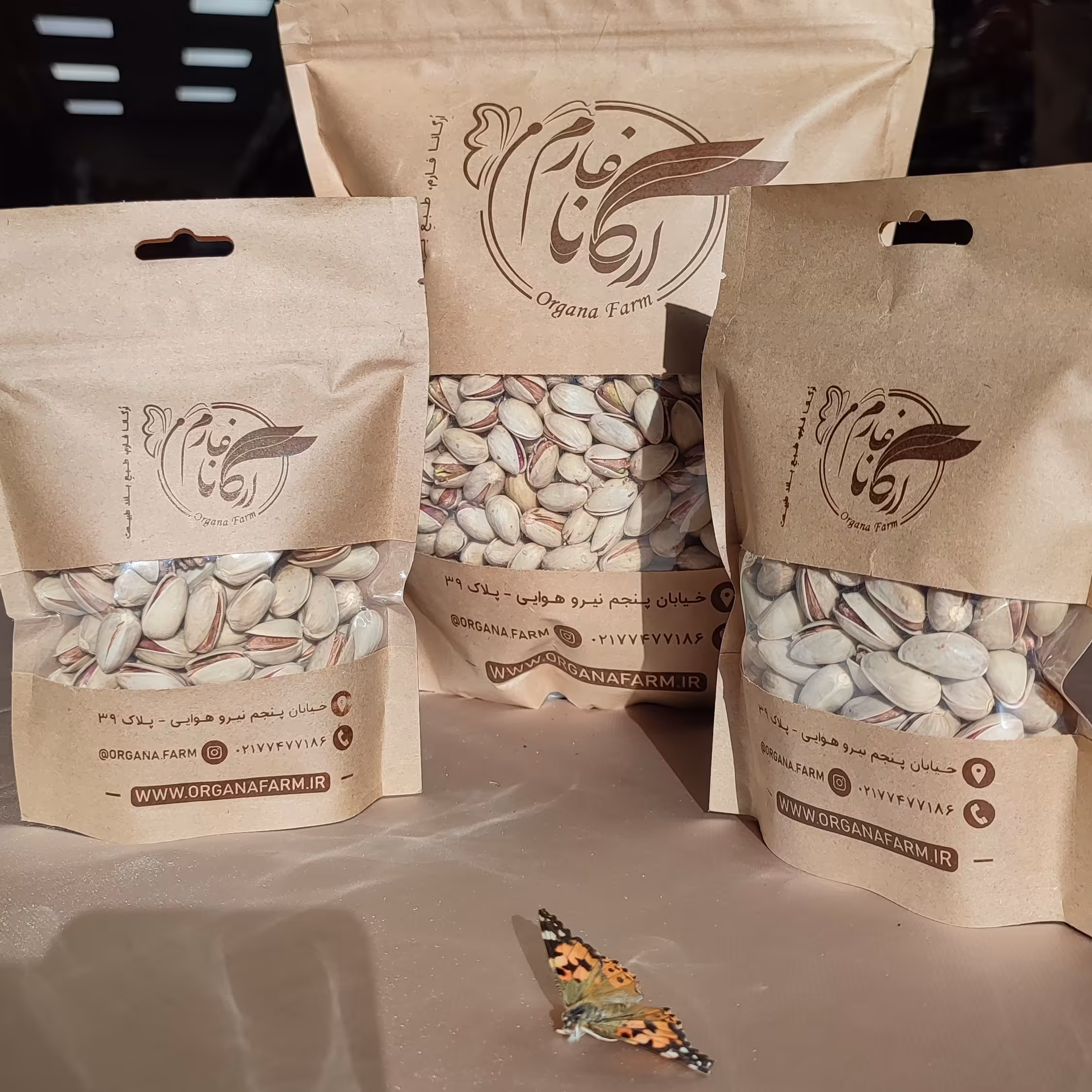 پسته خام تازه و خوش طعم 